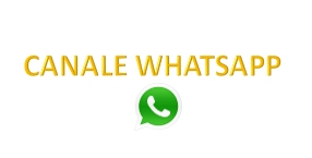 CANALE WHATSAPP